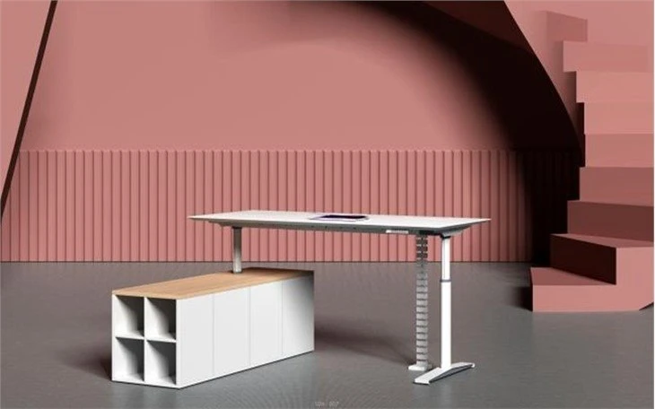 Sit Stand Electric Adjustable Desk